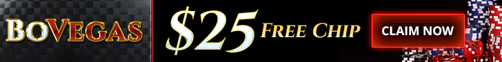bovegas banner