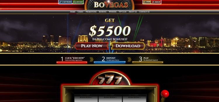 bovegas casino