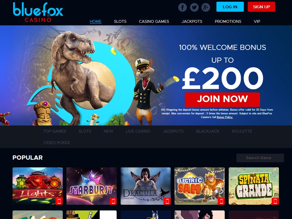 BlueFox casino review